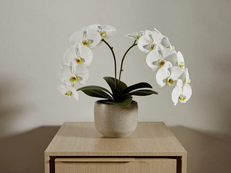 Bílé umělé orchideje v matném šedém květináči na dubovém stolku